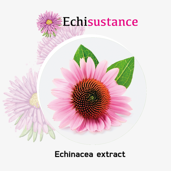 echisustance