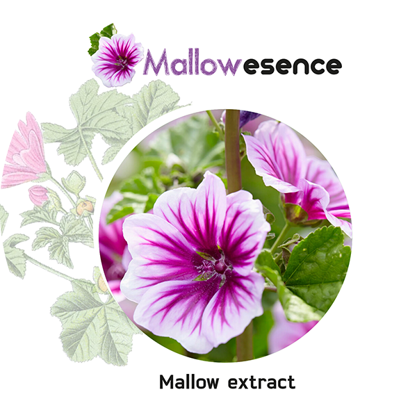 mallowesence