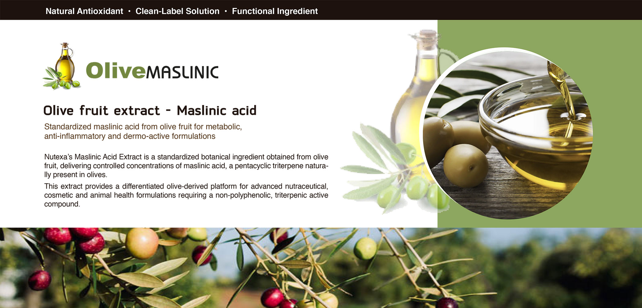 olivemasclinic