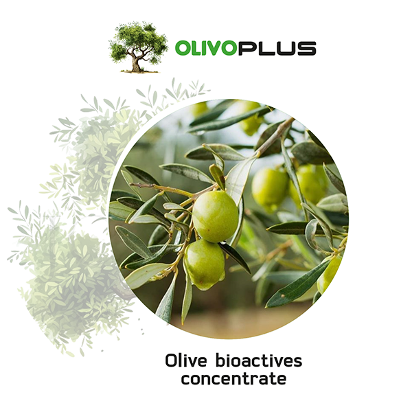 olivo plus
