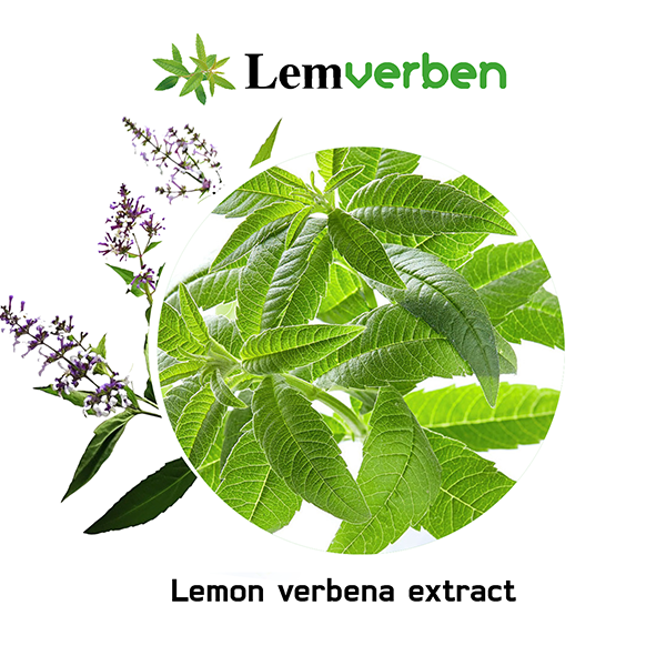 lemverben