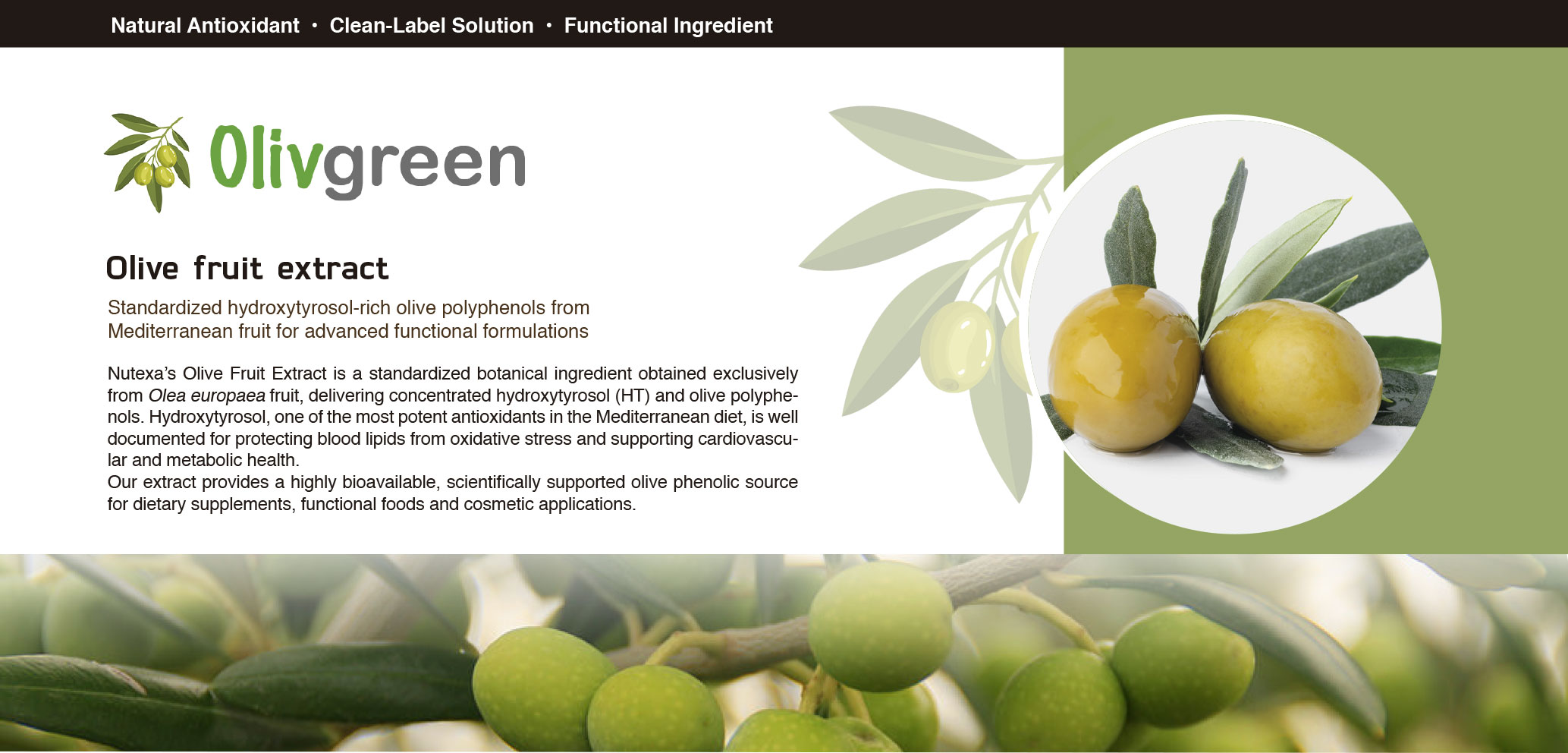 olivgreen