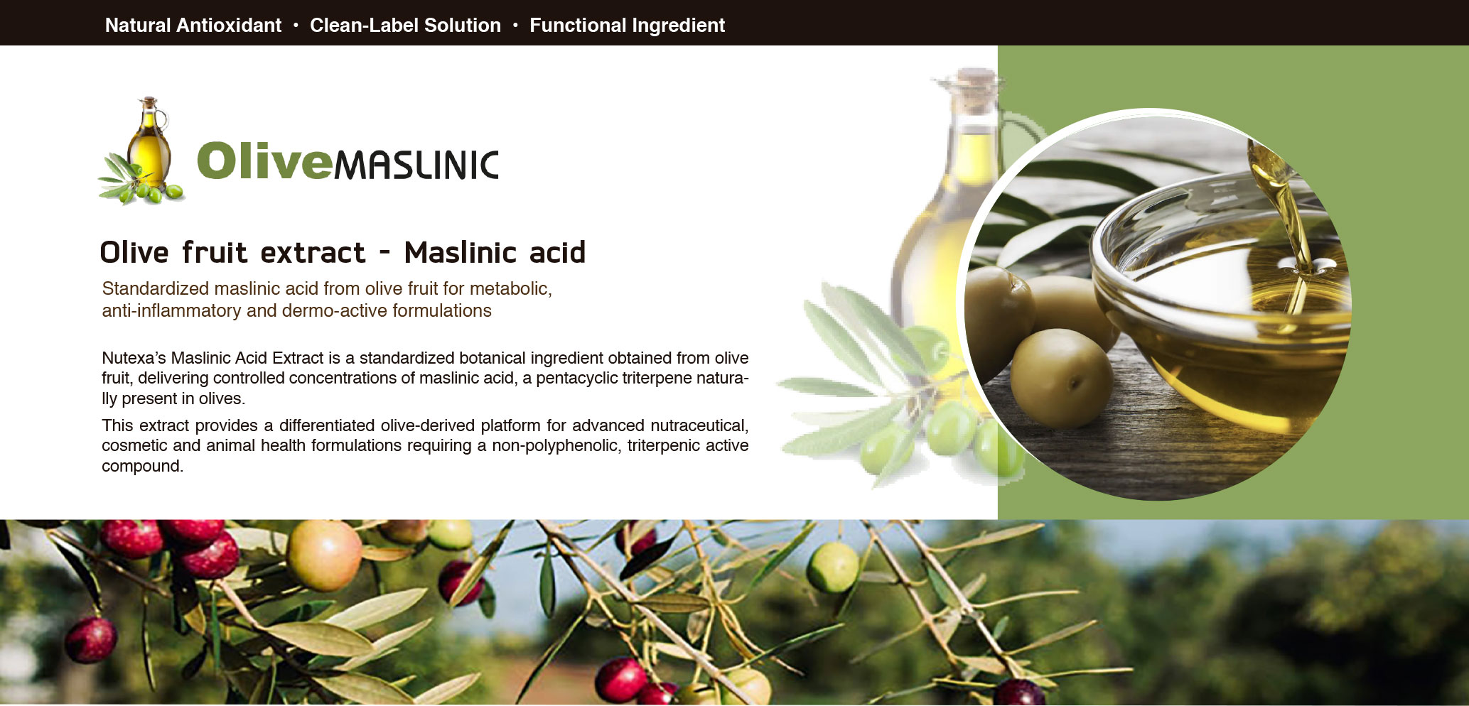 olivemasclinic