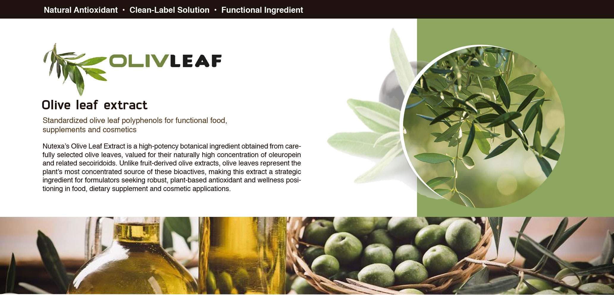 olivleaf