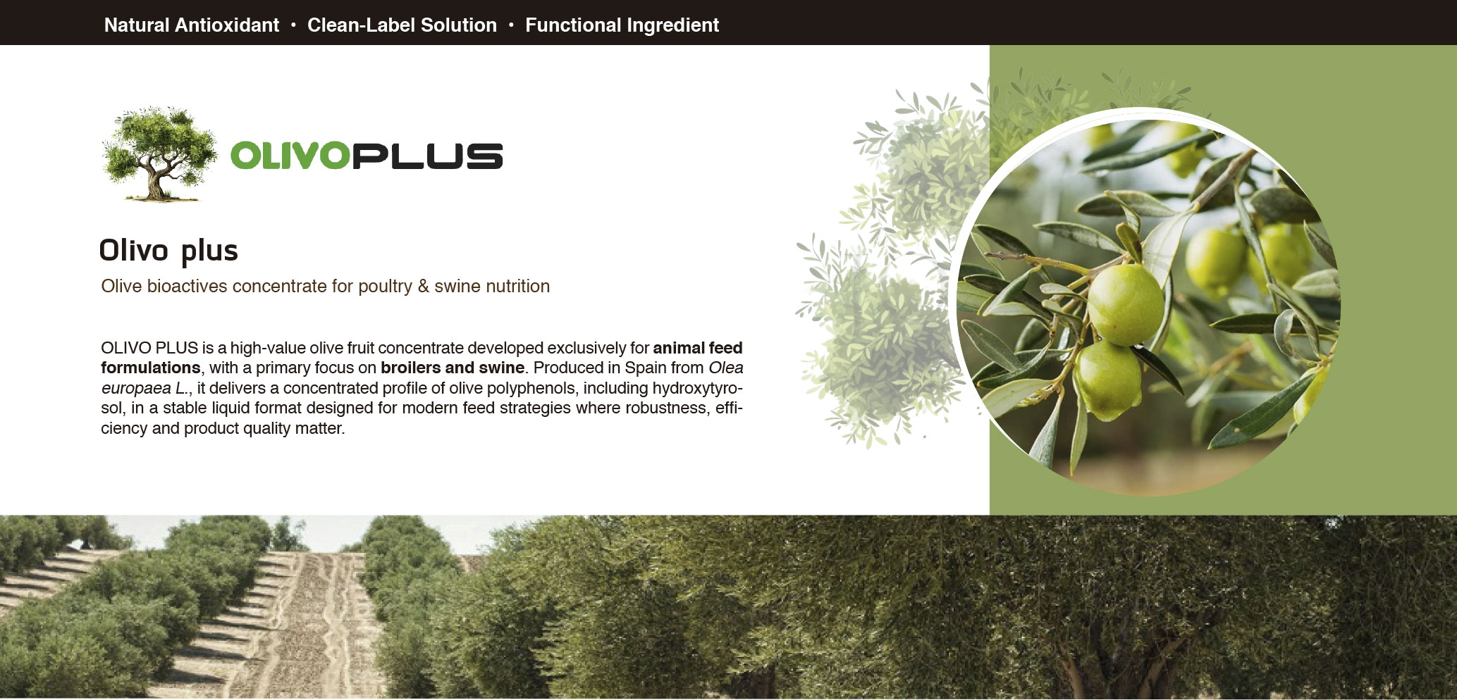 olivoplus