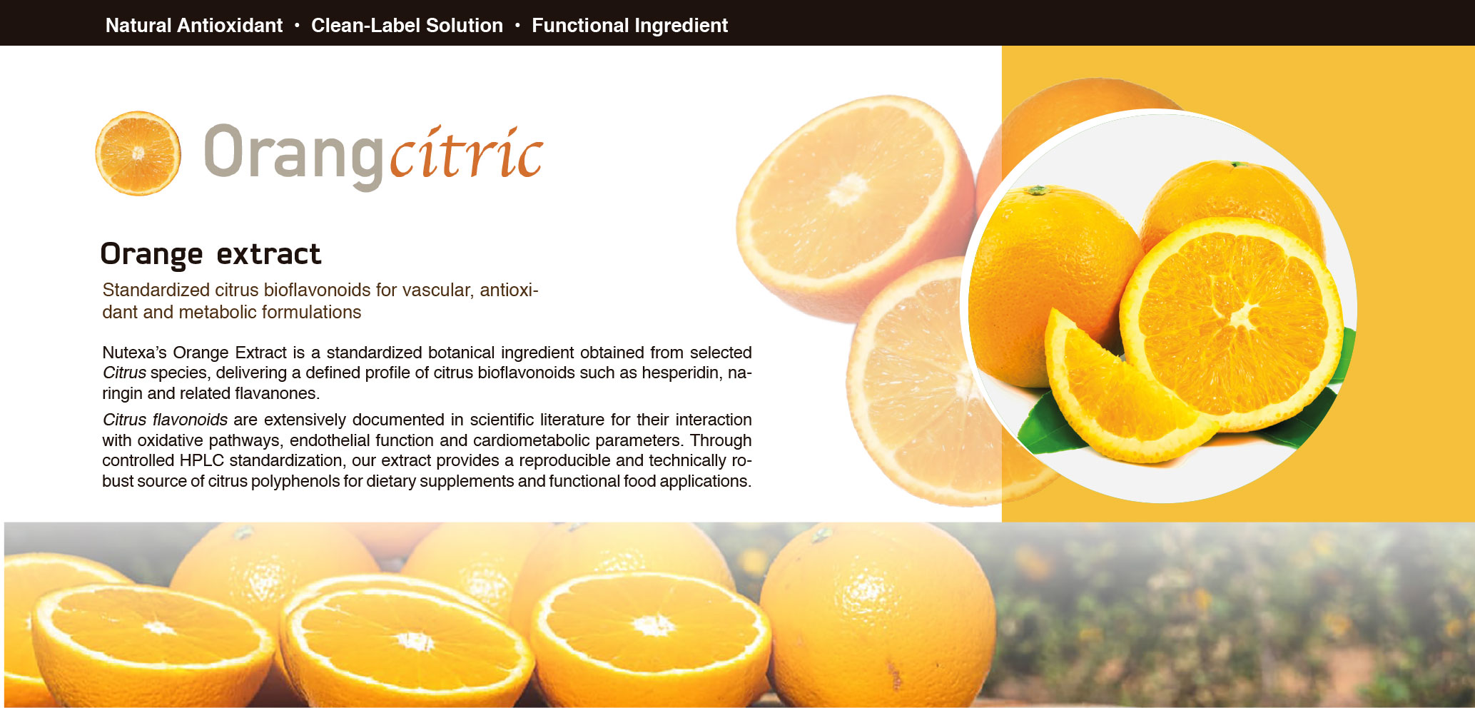 orangecitric