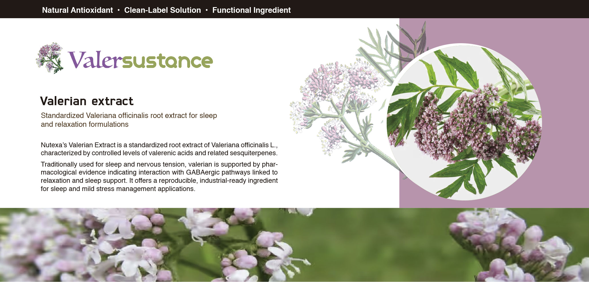 Valer sustance