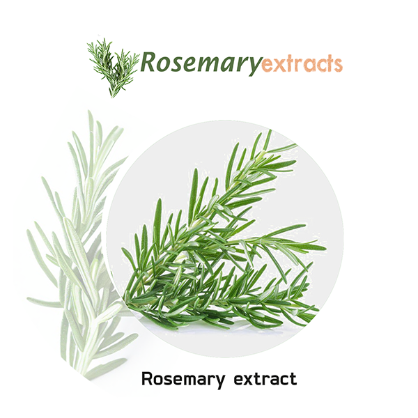 rosemary-extract