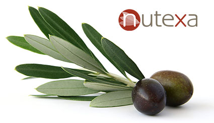 Los extractos de hoja de olivo con una concentración elevada de Oleuropeína han mostrado ser efectivos en cuadros de hipertensión arterial leve o moderada. 
